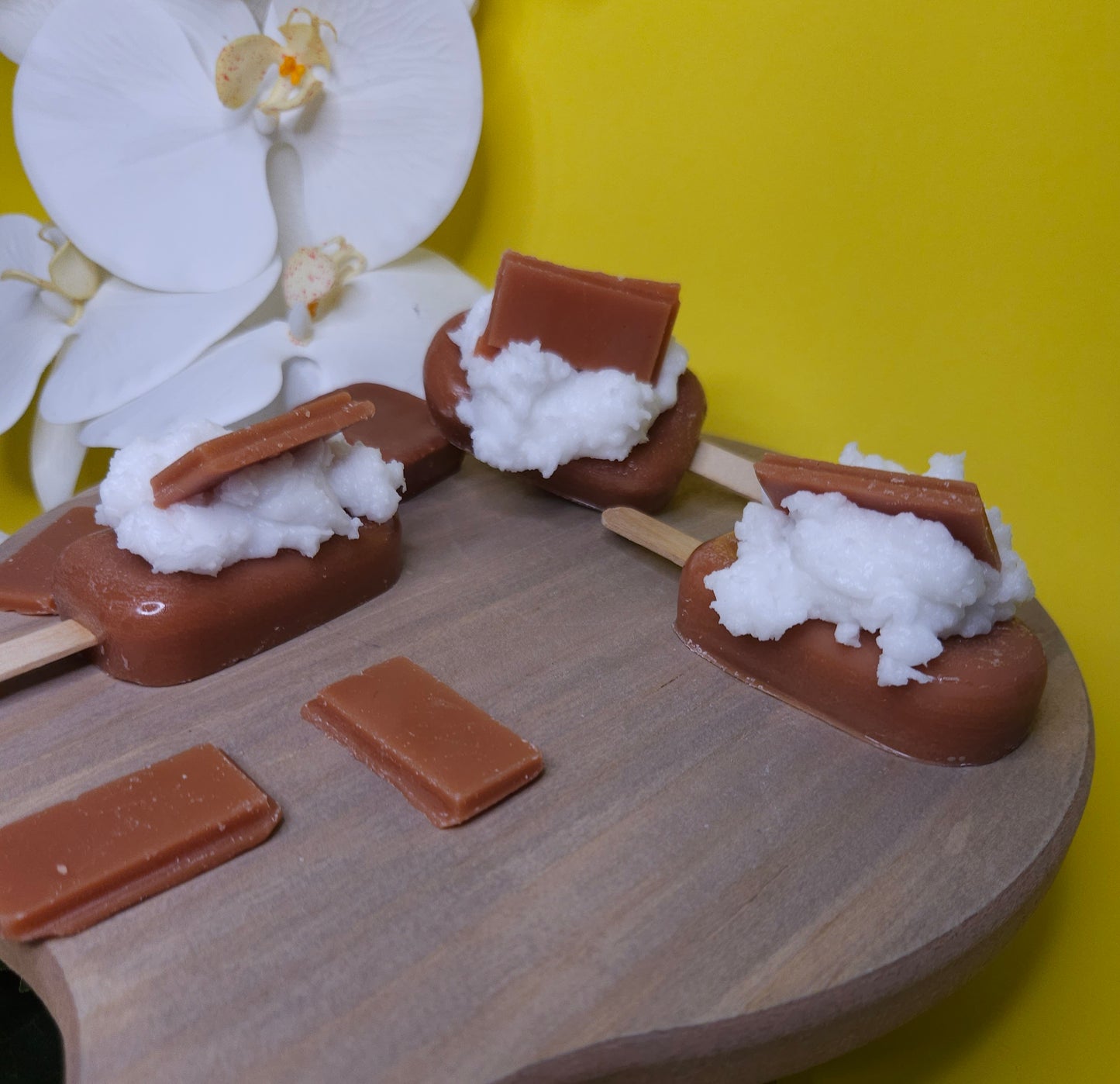 Chocolate Popsicles