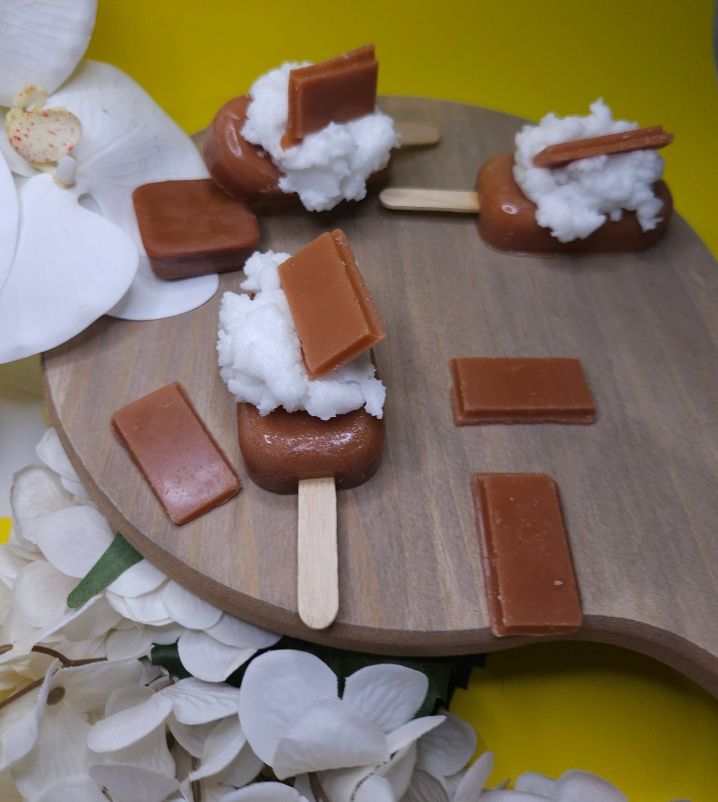 Chocolate Popsicles